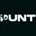 Punt logo