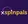 SpinPals logo